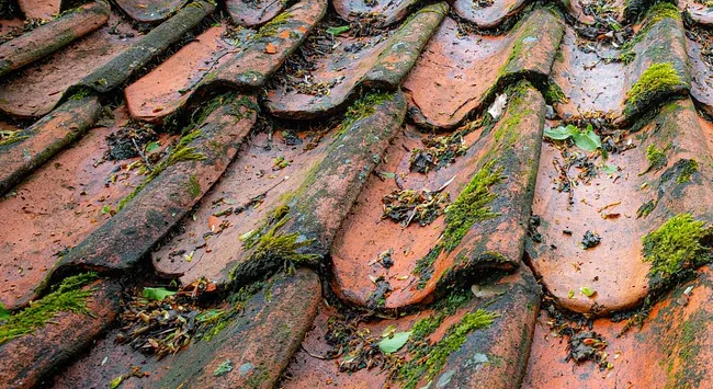 Zonnepanelen Op Oude Dakpannen Warmerhuis